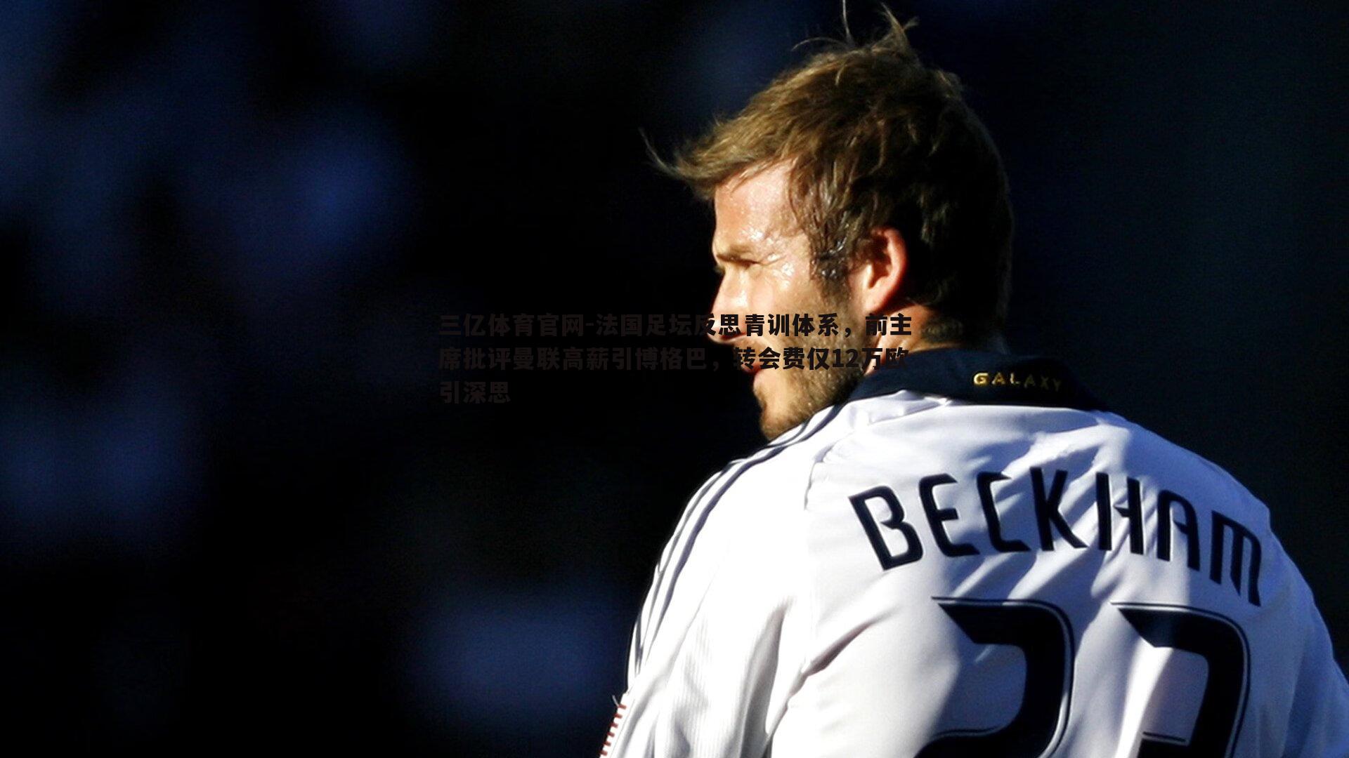 三亿体育官网-法国足坛反思青训体系，前主席批评曼联高薪引博格巴，转会费仅12万欧引深思